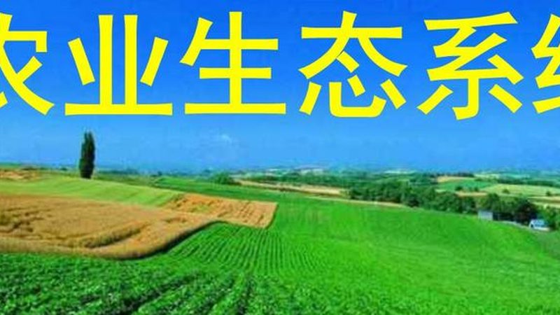 綠色食品標(biāo)志背后的許可條件揭秘