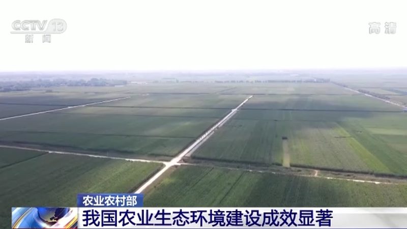 溫室大棚智能灌溉：如何精準(zhǔn)高效，降低成本？**