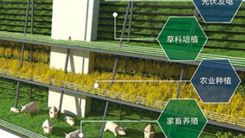 果蔬物流如何選最劃算：揭秘成本與效率的平衡之道