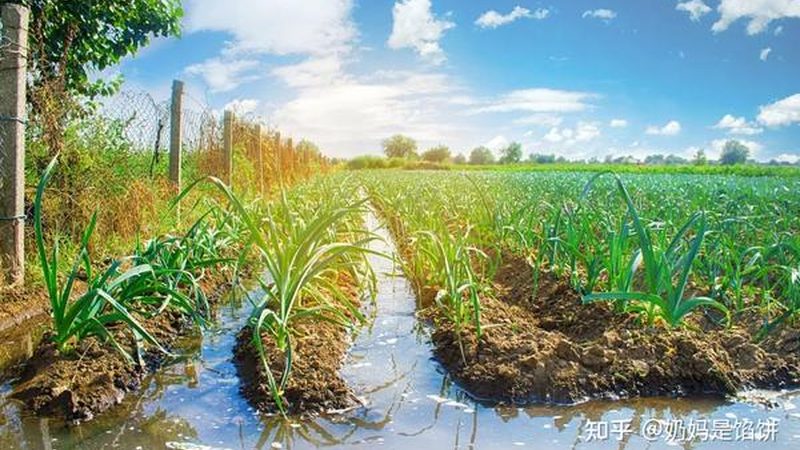 農(nóng)業(yè)種植技術(shù)培訓(xùn)課程費(fèi)用對(duì)比