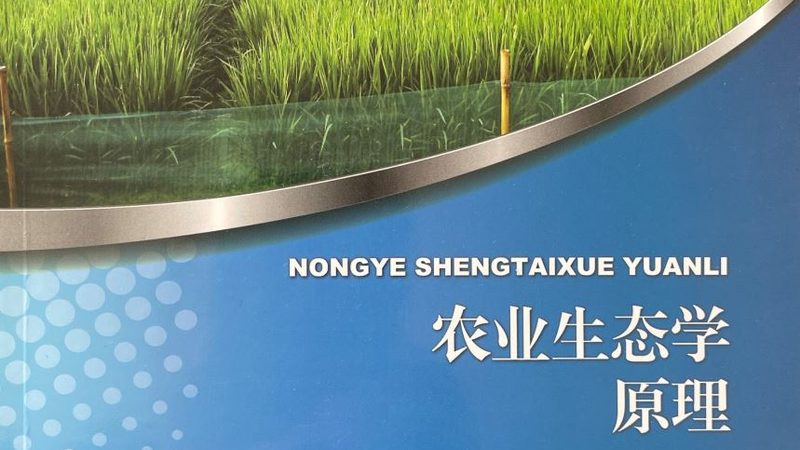 定制方案不是拼積木：糧食種植機(jī)械化如何真正適配你的田