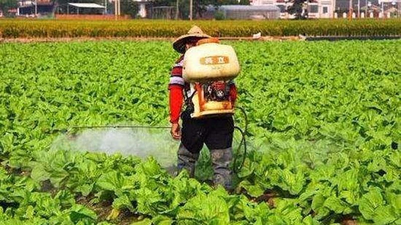 智慧農(nóng)業(yè)軟件公司對(duì)比