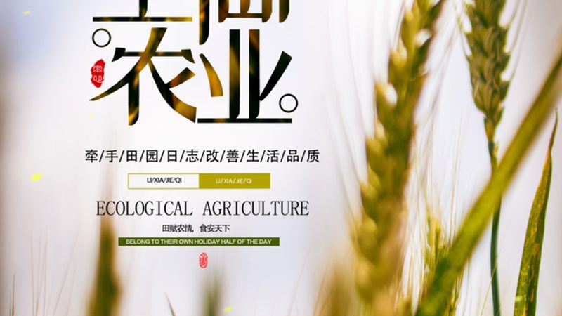 農(nóng)業(yè)項(xiàng)目招標(biāo)：如何選擇合適的合作伙伴**